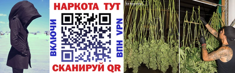 Как найти закладки Волжск Alpha PVP  Конопля  NBOMe  ГАШИШ  COCAIN  Меф мяу мяу  АМФЕТАМИН  Галлюциногенные грибы 