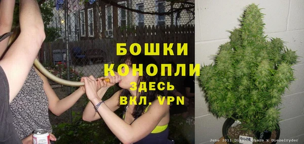 бутират Ельня