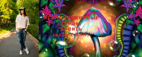 бутират Ельня