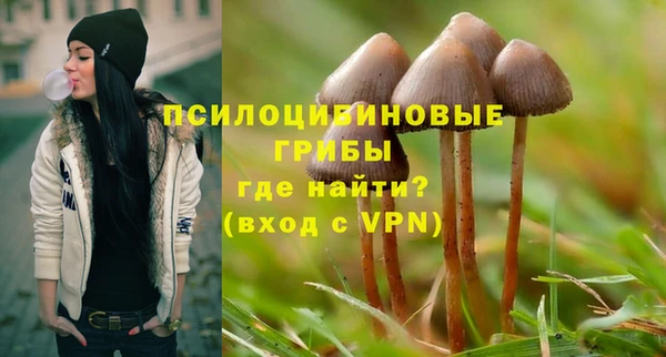 бутират Ельня