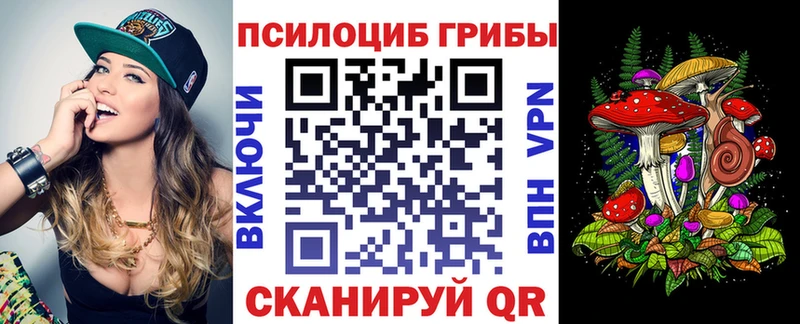 kraken как зайти  магазин продажи наркотиков  Волжск  Галлюциногенные грибы мухоморы 