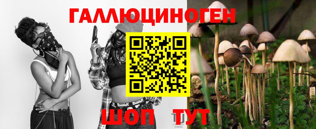 Волжск  Галлюциногенные грибы прущие грибы  Вход с VPN 