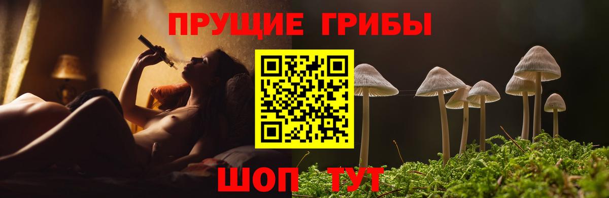 Галлюциногенные грибы MAGIC MUSHROOMS Волжск